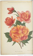 jean-andre-1907-11