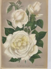 mlle-louise-leroy-1908-12