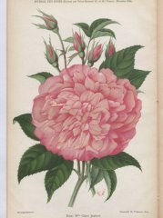 mme-claire-jaubert-1094-12