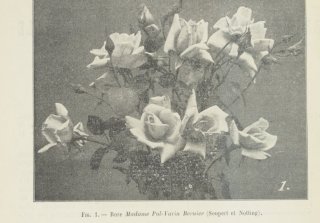 mme-pol-varin-bernier-1907-1