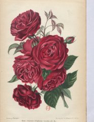 souvenir-dalphonse-lavalet-1901-2