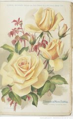 souvenir-de-pierre-notting-1902-1-ja_