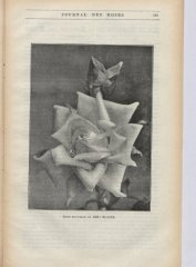 elaine-1908-8-jpga_