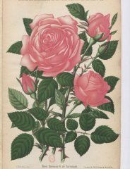 baronne-noirmont-1892-1