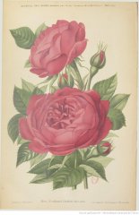 ferdinand-chaffolte-1900-3