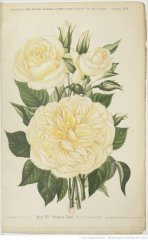 germaine-raud-1894-11