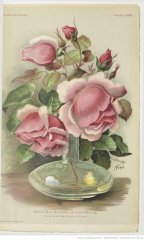grand-duc-adlolphe-de-luxembourg-1899-10