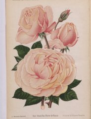 grand-duc-pierre-de-russie-1895-12