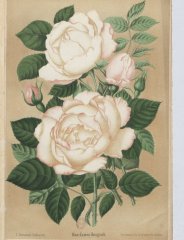 james-bougault-1892-4