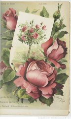 marquise-litta-1899-6