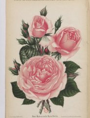 mlle-marie-perrin-1895-3