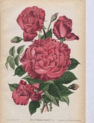 professeur-ganiviat-1896-4-lub-5