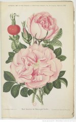 souv-de-christophe-cochet-1894-8