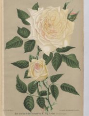 souv-de-mme-eugenie-verdier-1895-2
