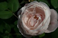 madelaine-de-vauzelles-aa