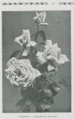 gartendirektor-hartrath