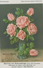 heinrich-munch