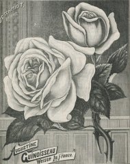 augustine-guinoisseau-a