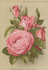 john-laing