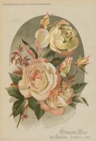 princesse-alice-de-monaco