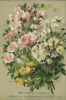 aglaia-euphrozyne-thalia