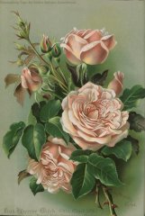 frau-therese-gluck