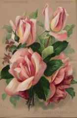 mme-emilie-charrin