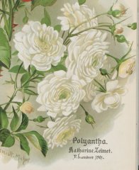 katharine-zeimet-jpg-a