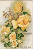 mlle-jeanne-philippe