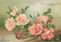 princesse-de-basaraba