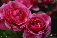 morden-ruby