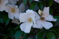 wedding-day-1.jpg