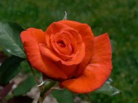liverpool-remembers2.jpg