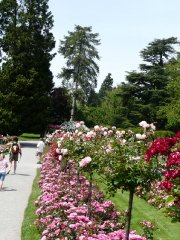 fleurette-rabata-a.jpg