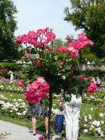 kathleen-ferrier-1a.jpg