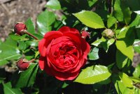 out-of-rosenheim2