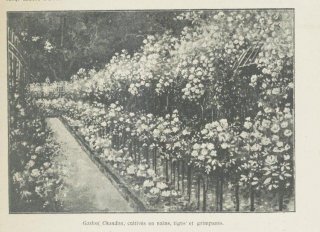 gaston-chandon