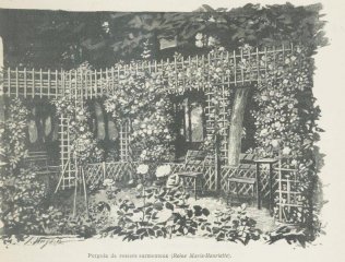 reine-marie-henriette