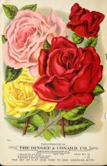 louisa-de-la-rive-therese-levet