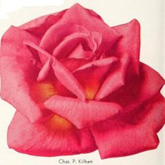 1-chas-p-kilham