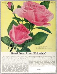 1-columbia