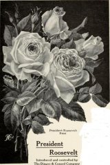 1-president-roosvelt