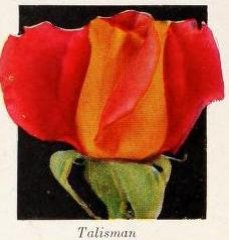 1-talisman-a