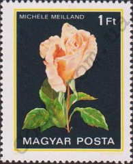 michele-meilland-82