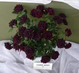 czarna-magia.jpg