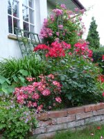 star-profusion-home-run