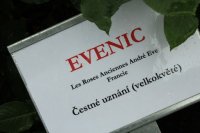 evenic
