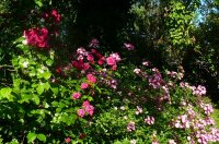 elmshorn-i-mozart
