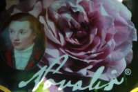 novalis