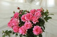 wedding-bells
